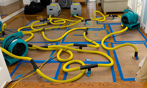 Professional Basement Flood Cleanup technician working in Galena, OH